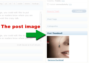 the-post-image-300x214 Clickear imagenes destacadas wordpress