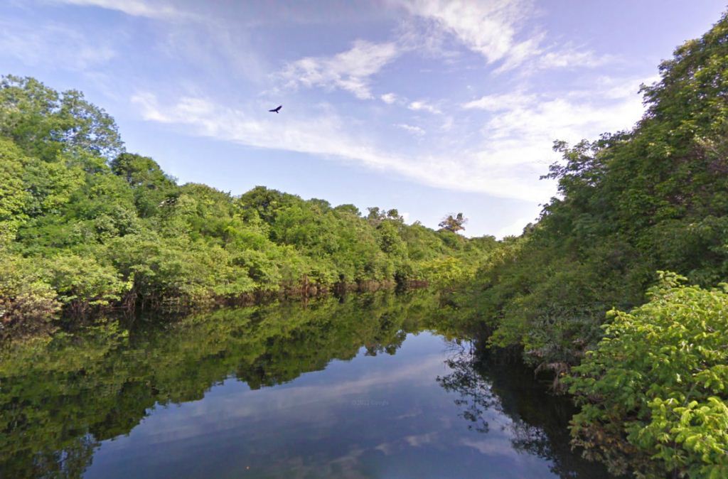 Amazonas google street view